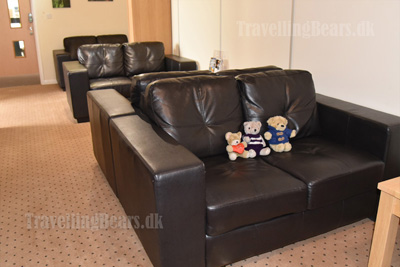 The Travelling Bears at Newquay Airport in Cornwall
