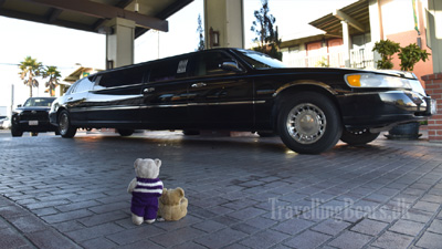 Travelling Bears at the Best Western Humboldt Bay Inn, Eureka, 
				California