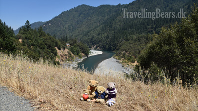 Travelling Bears taking a selfie on Highway 299, 
				California