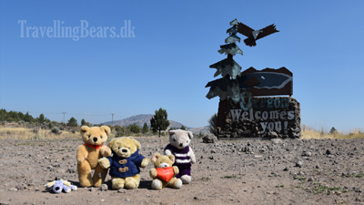 Travelling Bears crossing the border to Oregon, USA
