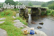 Other Visits